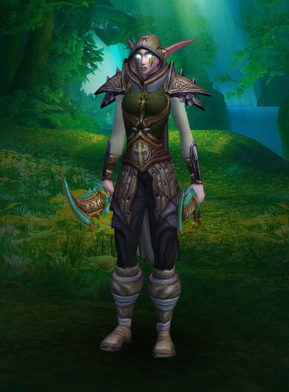 a picture of my Night Elf Druid